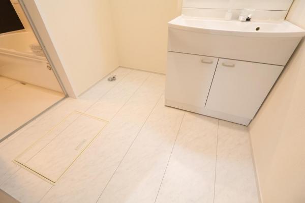 狭山市水野228番 脱衣所