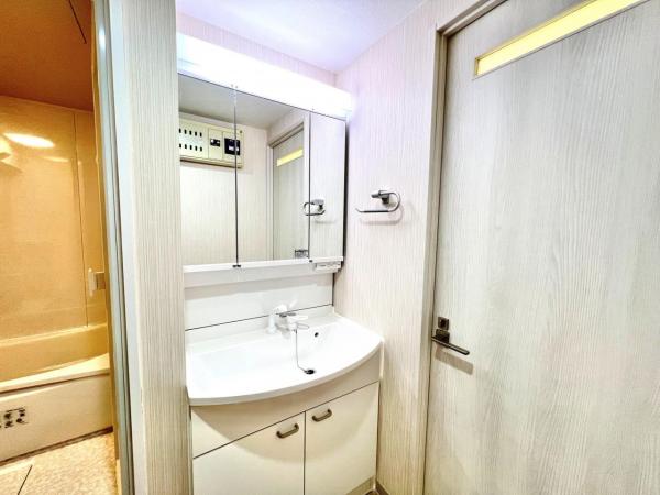 グリーンパーク秦野 洗面化粧台