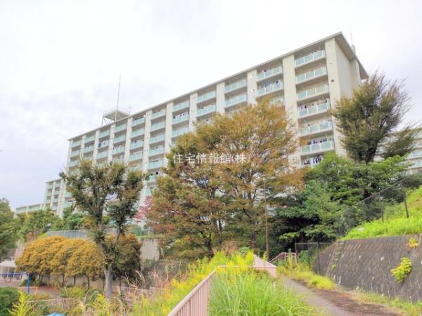 三ッ沢ハイタウン3号棟 