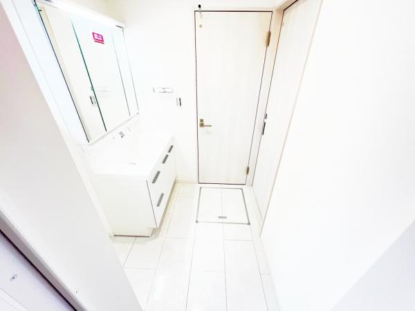 相模原市南区下溝 中古戸建 脱衣所