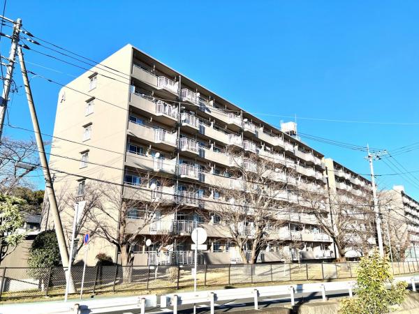 秦野マンション 現況写真