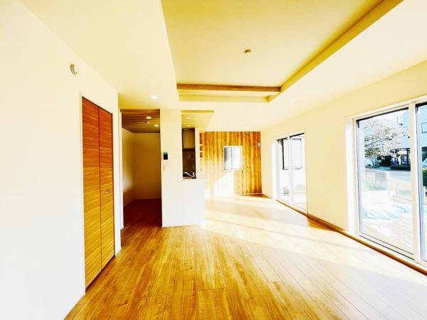 相模原市南区麻溝台7丁目 リビング