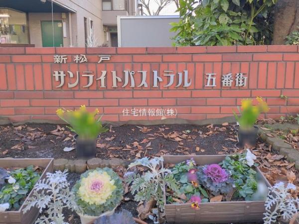 サンライトパストラル弐番街C棟 