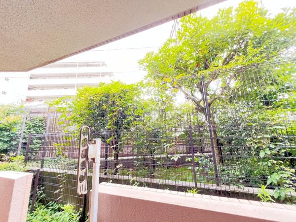 ルピナス鶴川サウスステージ 眺望