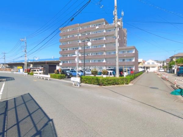 ミューアダマスグランテ 