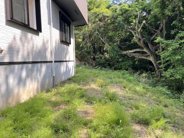藤沢市西富 戸建 庭
