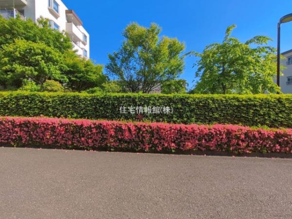 小山田桜台29号棟 