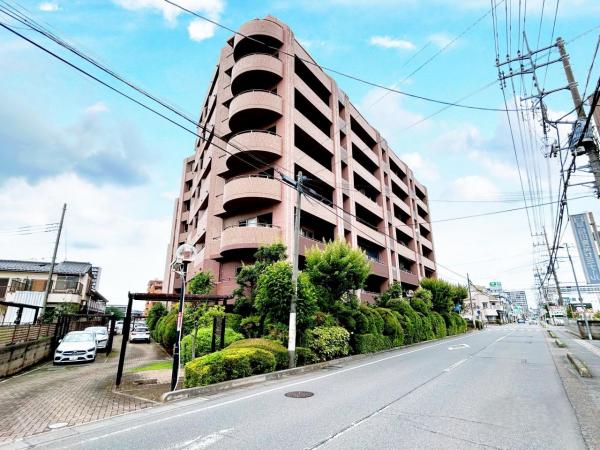 レクセルマンション若葉 第2 現況写真