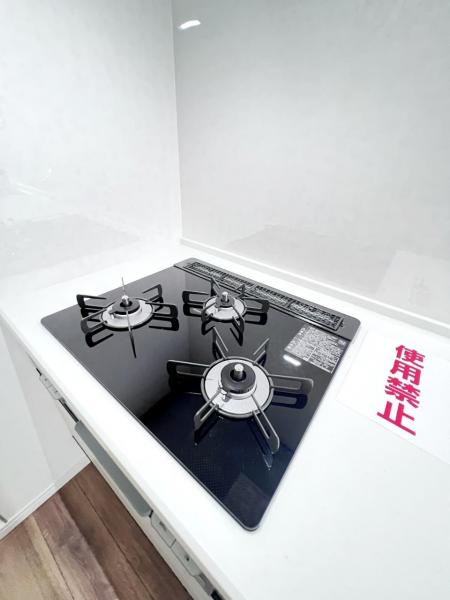 高座郡寒川町岡田２丁目 戸建 キッチン