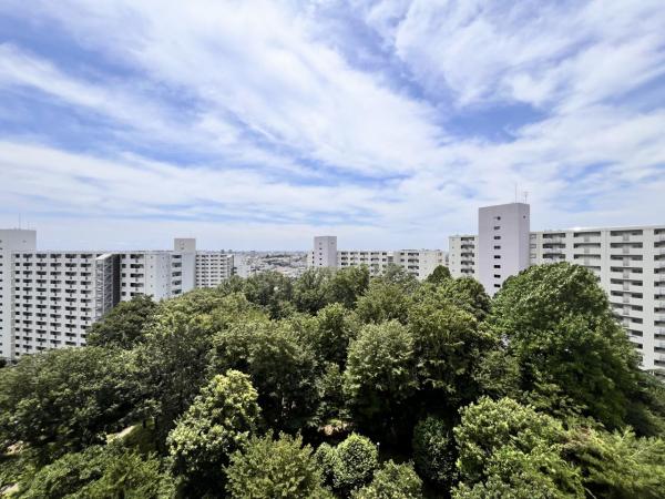 東建座間ハイツ1号棟 眺望