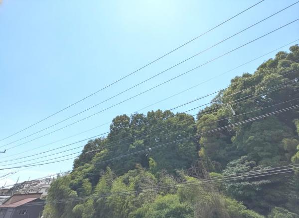 藤沢市大鋸 戸建 眺望