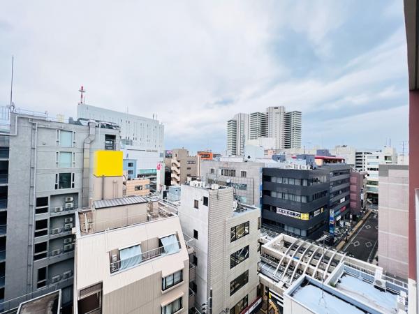 グリーンコート相模大野ヴィンテージスクエア 眺望