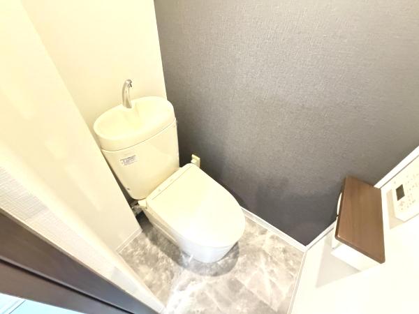 湘南長沢グリーンハイツ6ー3号棟 トイレ