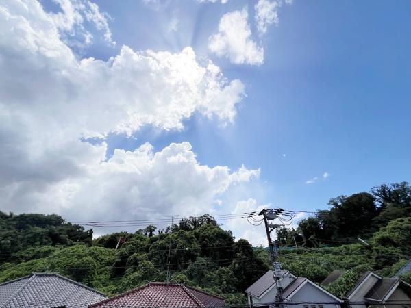 たまプラーザ西パーク・ホームズ 眺望