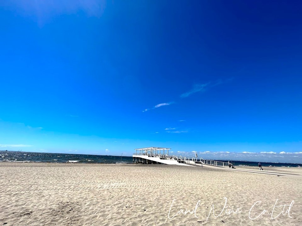検見川の浜
