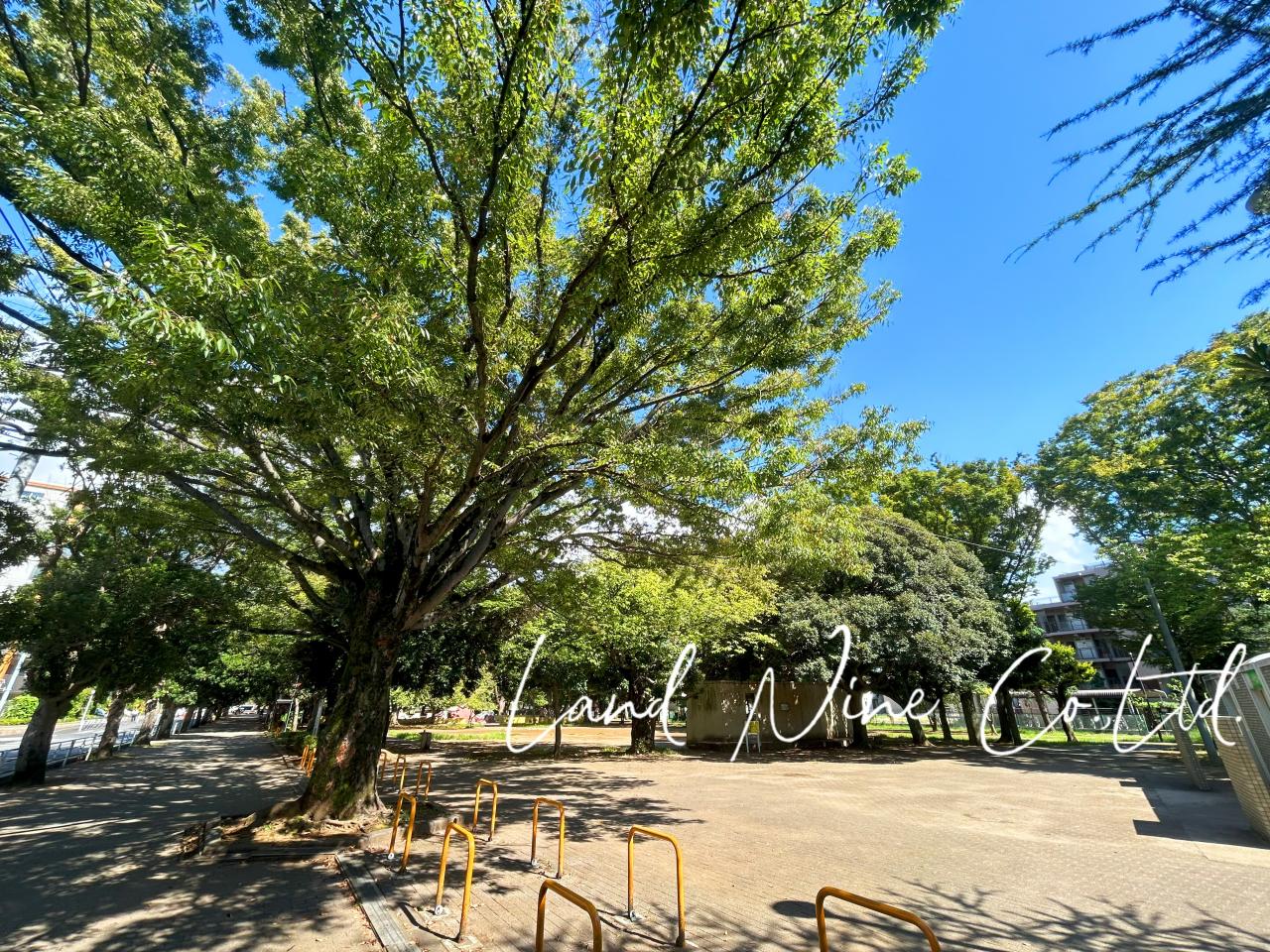 薬円台公園