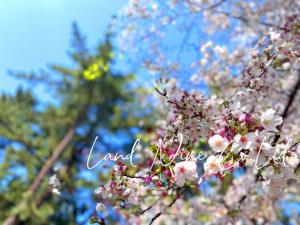 中古マンション 千代田区六番町6-1 JR中央本線四ツ谷駅 104500000