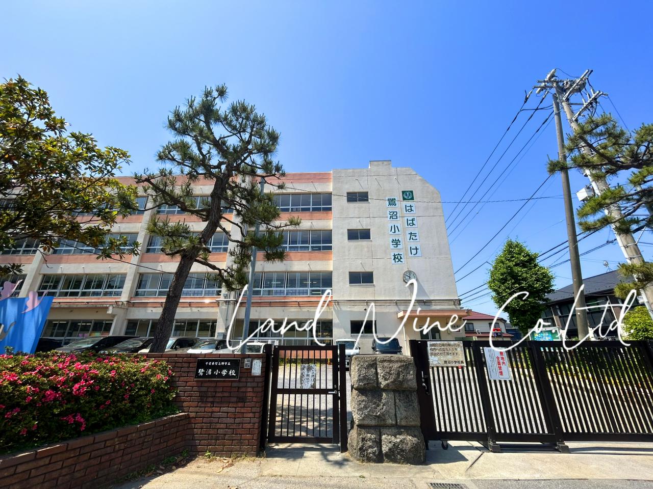 習志野市立鷺沼小学校