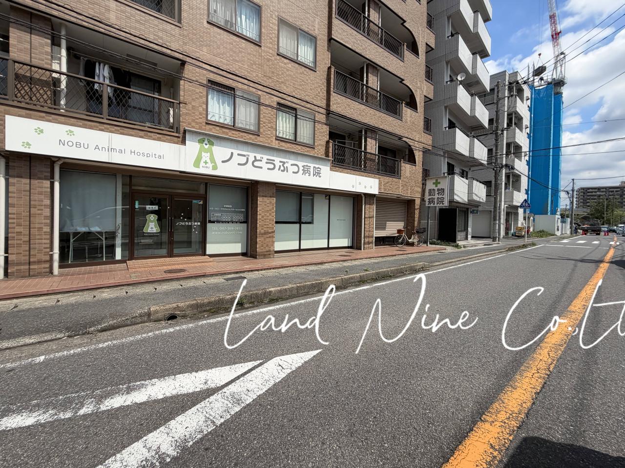 ノブどうぶつ病院