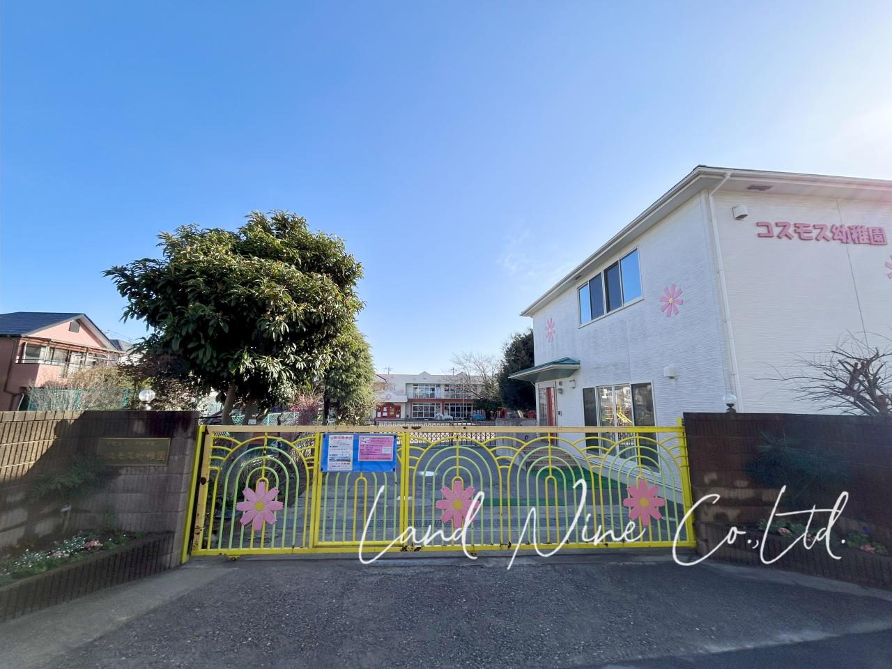コスモス幼稚園