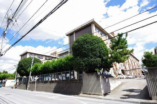 土地 宇都宮市石井町2347-22 宇都宮芳賀ライト線平石中央小学校前駅 1,000万円