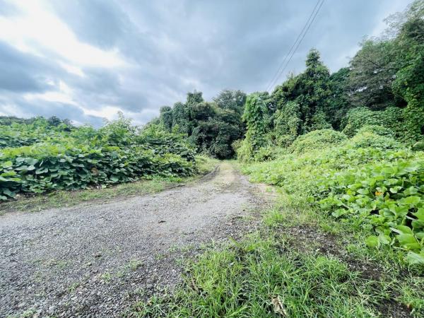 土地 鹿沼市南上野町504-68、504-7 東武日光線楡木駅 150万円