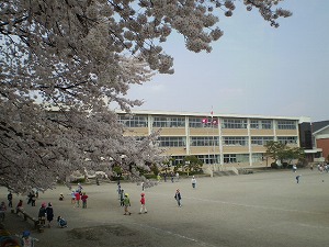 土地 宇都宮市中戸祭町3025-2、他4筆 東武宇都宮線東武宇都宮駅 2,369万円