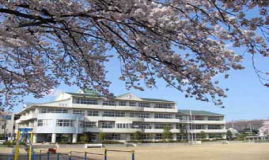 中古マンション 宇都宮市東宿郷６丁目3-20 宇都宮芳賀ライト線峰駅 3,190万円