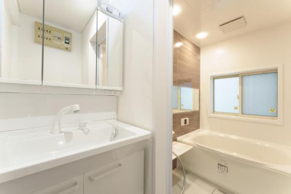 狭山市水野　中古戸建 洗面化粧台