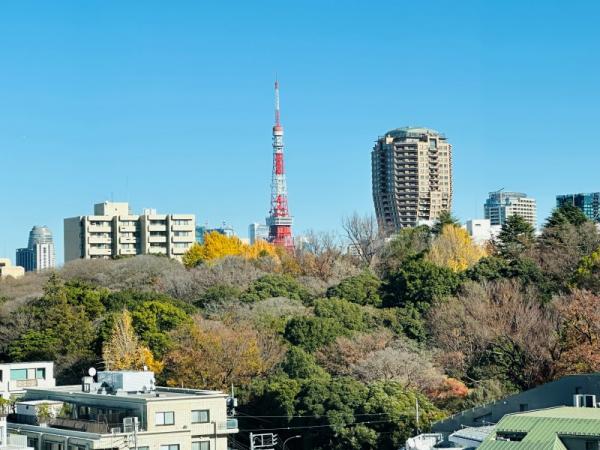 中古マンション 渋谷区広尾5丁目 日比谷線広尾駅 4億1,800万円