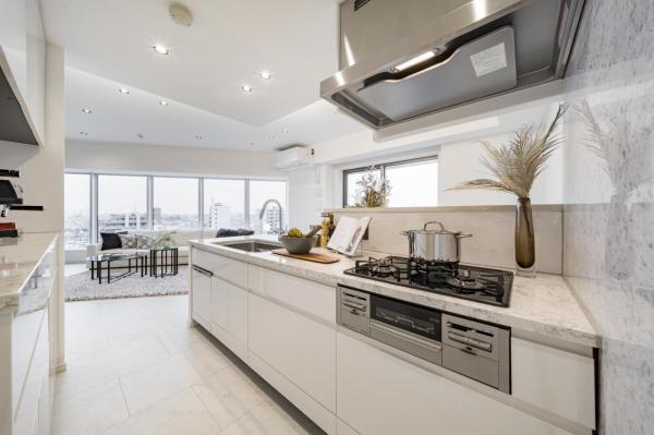 中古マンション 品川区小山3丁目15-2 東急目黒線武蔵小山駅 3億2,800万円