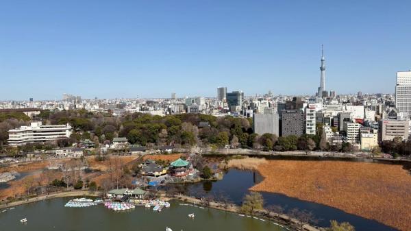 中古マンション 東京都台東区池之端1丁目4-33 千代田線根津駅 4億2,800万円