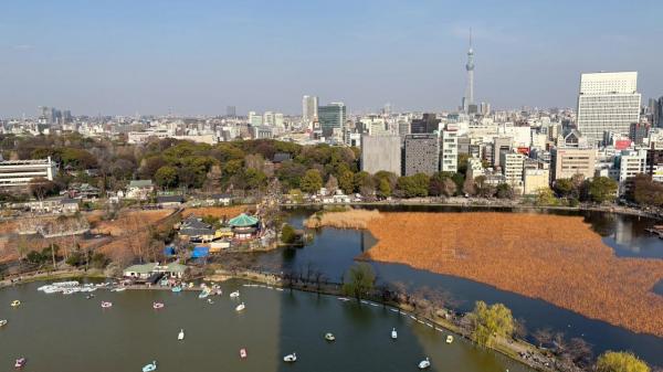 中古マンション 東京都台東区池之端1丁目4-33 千代田線根津駅 4億2,800万円