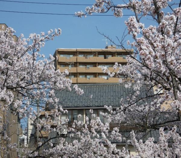 中古マンション 新潟市中央区上大川前通4番町37-1 JR上越新幹線新潟駅 2,180万円