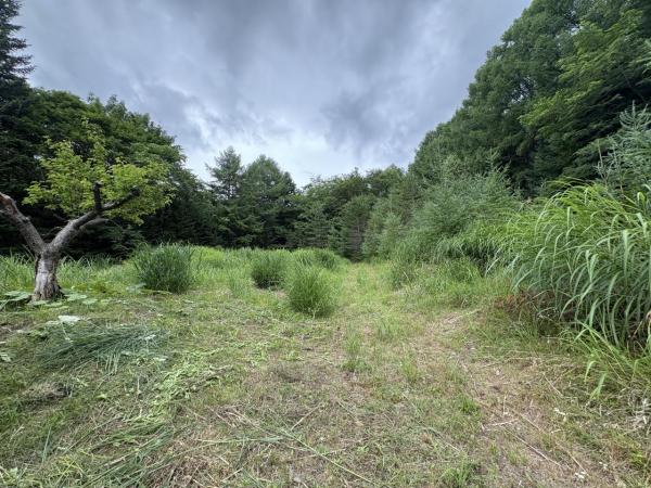土地 札幌市南区藤野 札幌市南北線真駒内駅 720万円