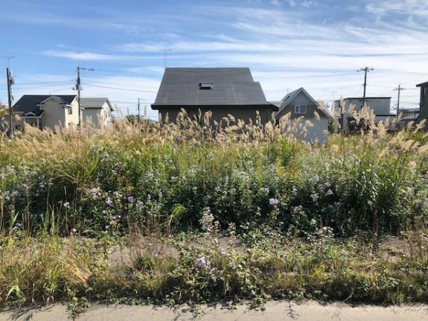 土地 北海道苫小牧市北星町２丁目521-113 JR室蘭本線錦岡駅 100万円