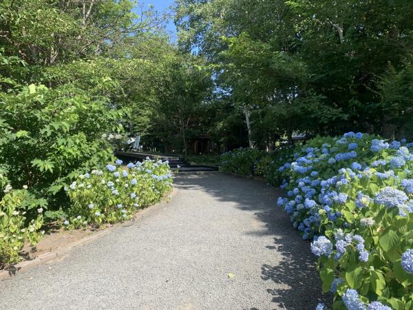 ライオンズマンション札幌定山渓参番館 