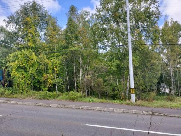 春光台3条10丁目　売り土地 現地土地写真 