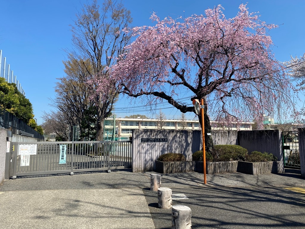 練馬区立大泉学園桜中学校