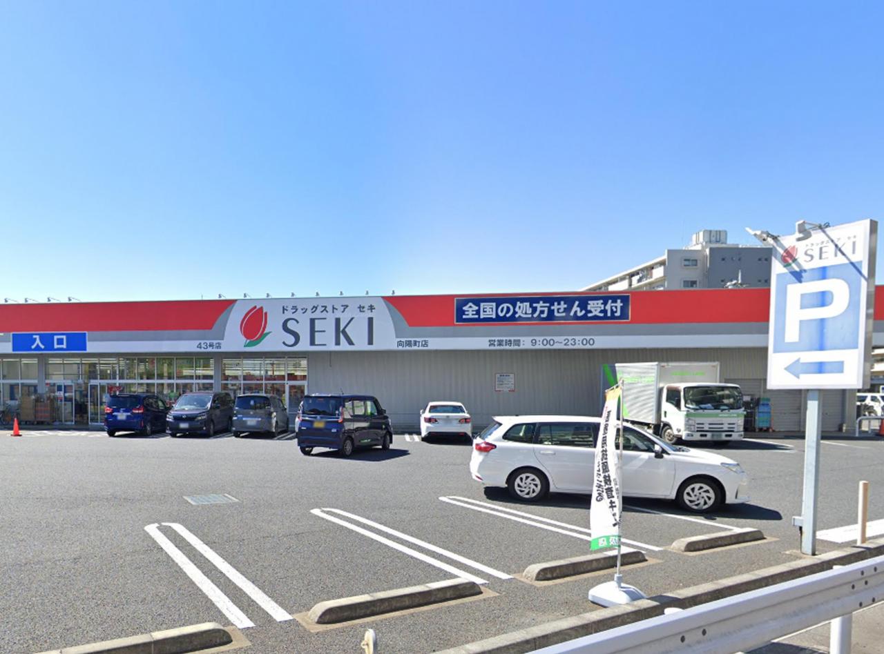 ドラッグストアセキ 向陽町店