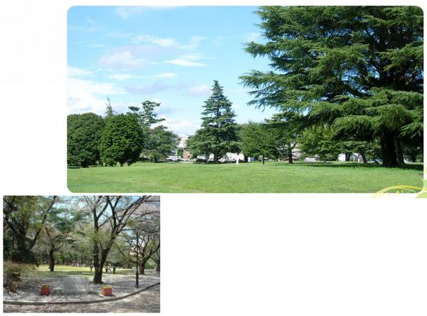 狭山市富士見2丁目13期　新築分譲住宅全1棟 