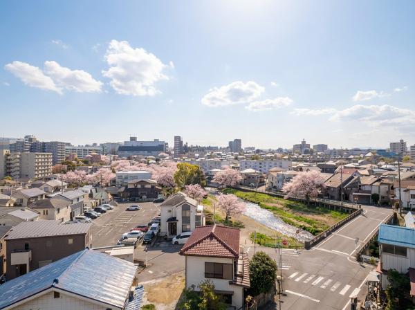 中古マンション 入間市高倉４丁目 西武池袋線入間市駅 490万円