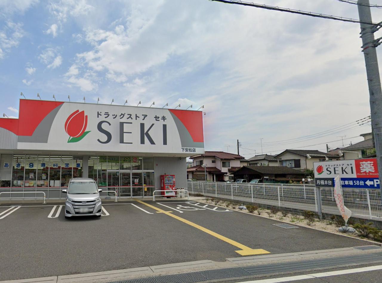 ドラッグストア セキ 下安松店
