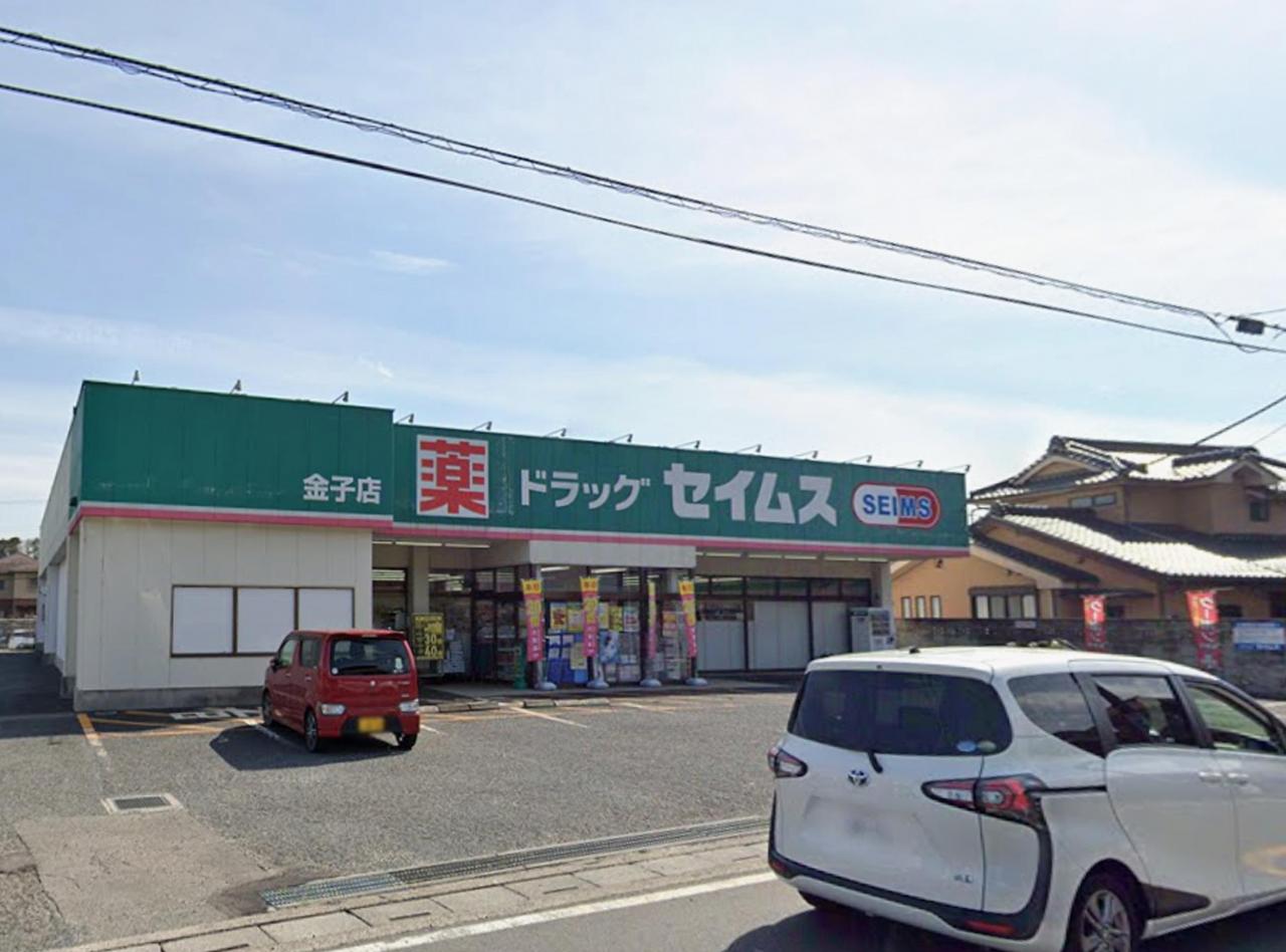 ドラッグセイムス 金子店