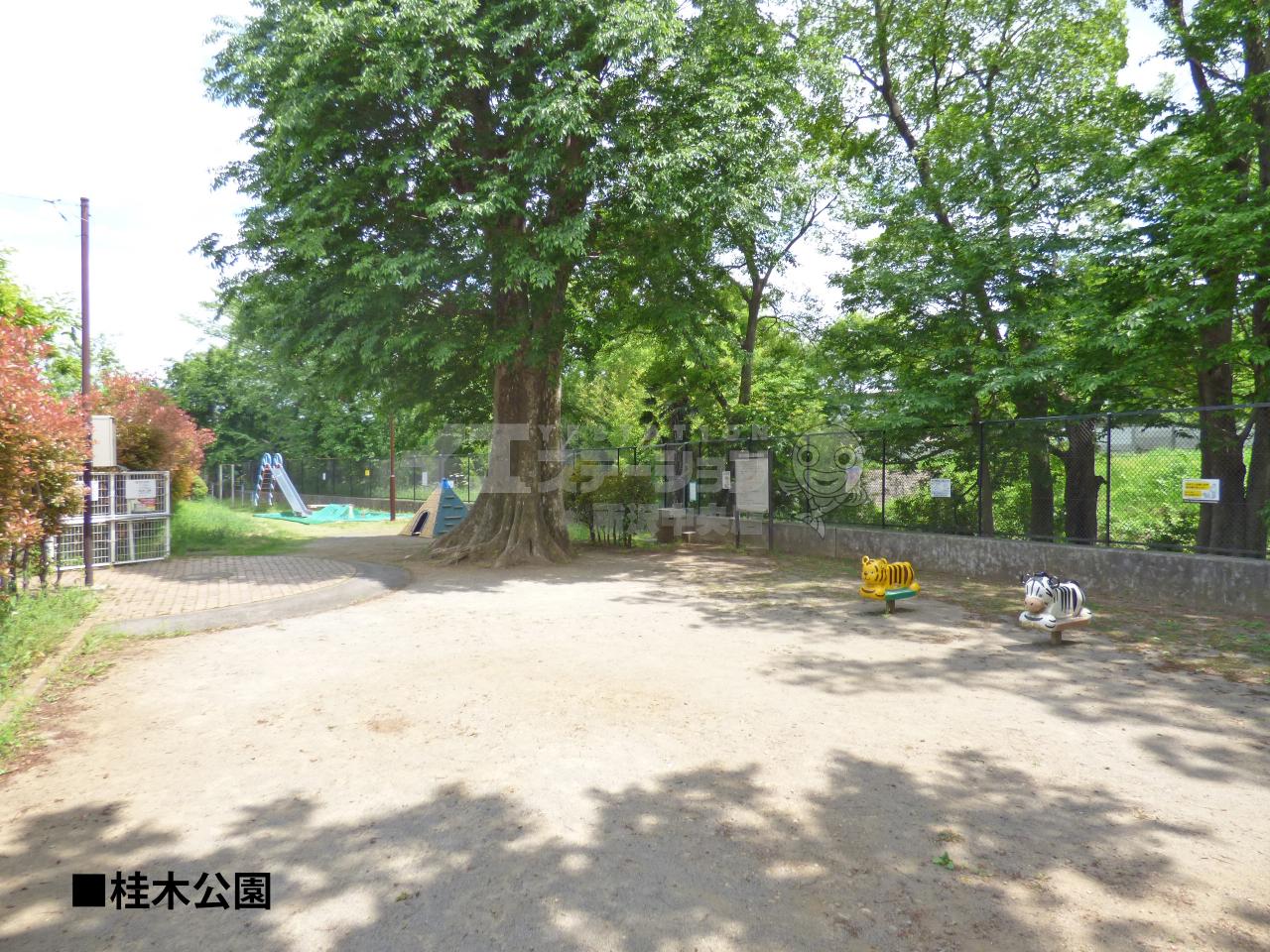 桂木公園