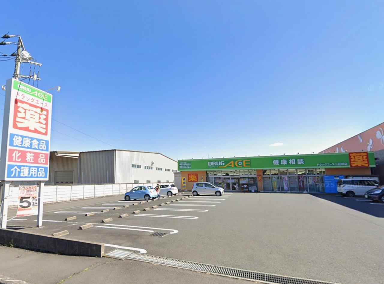 ドラッグエース 小谷田店