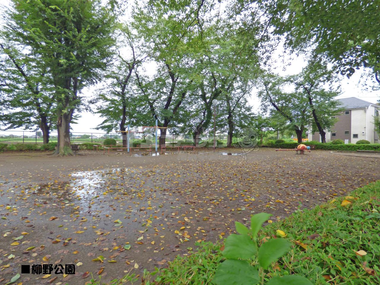 柳野公園