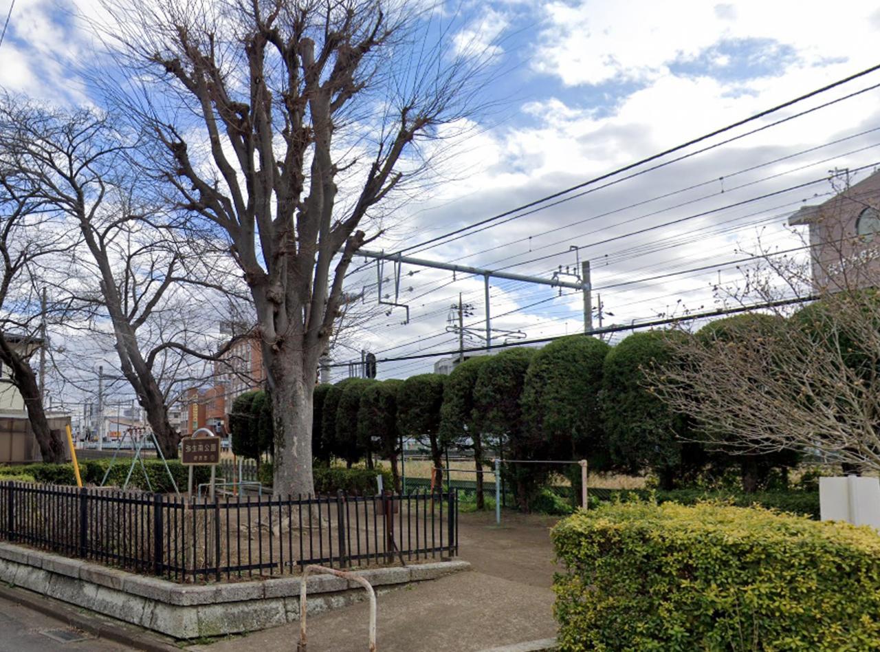 弥生南公園