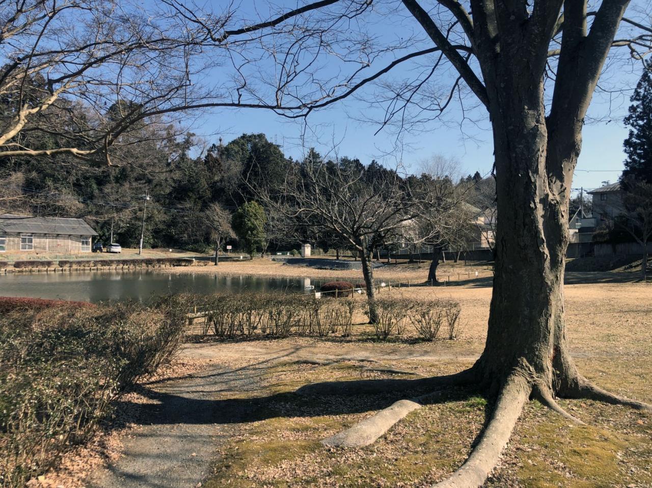 中沢池公園
