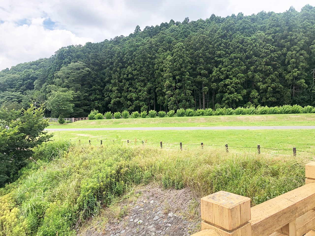 桜川緑地
